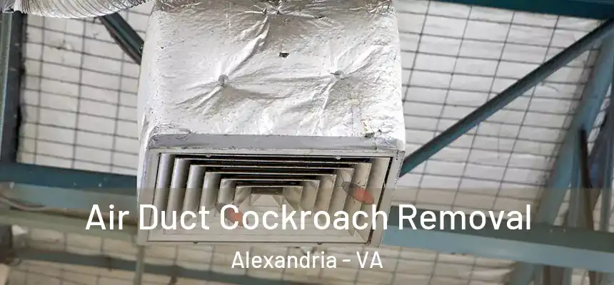  Air Duct Cockroach Removal Alexandria - VA