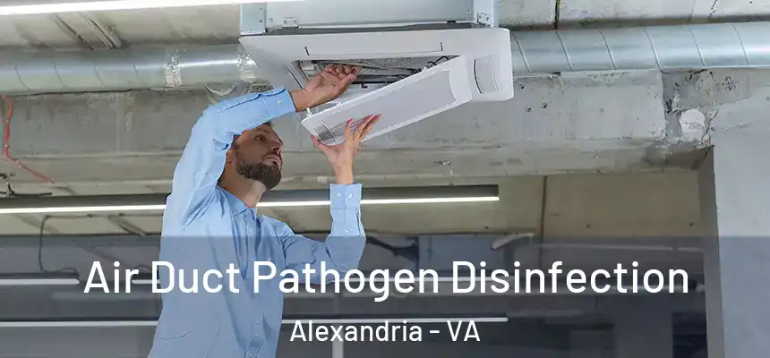  Air Duct Pathogen Disinfection Alexandria - VA