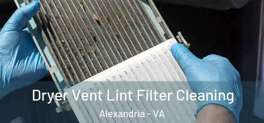 Dryer Vent Lint Filter Cleaning Alexandria - VA