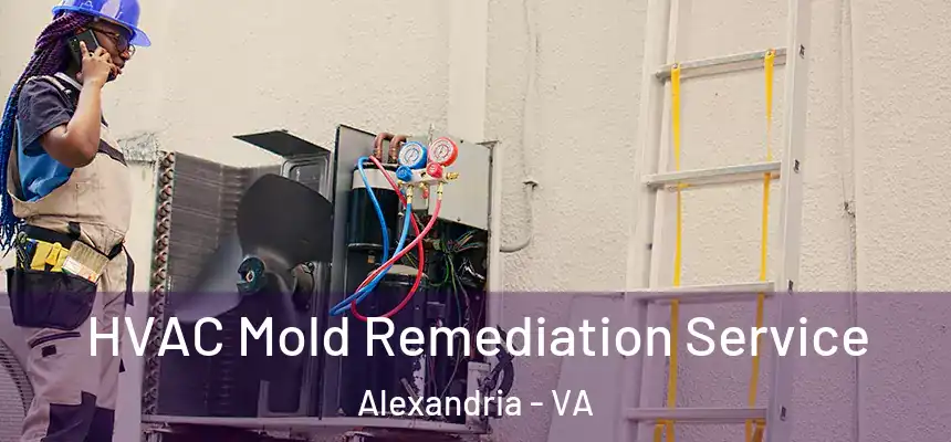  HVAC Mold Remediation Service Alexandria - VA
