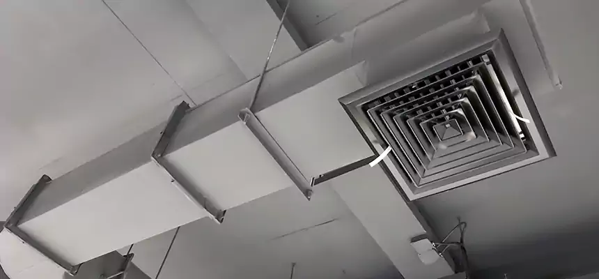 Our Pest Removal From Ducts Services in Alexandria, VA