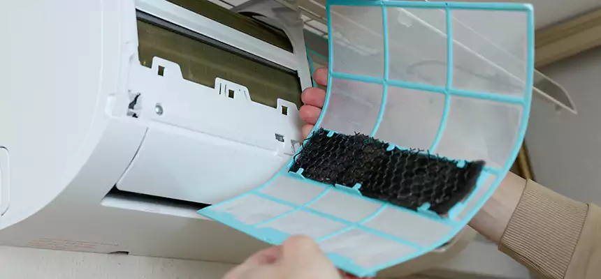 Gentle Ductwork Odor-Control Pet Dander Duct Cleaning in Alexandria, VA