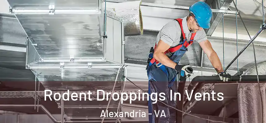  Rodent Droppings In Vents Alexandria - VA