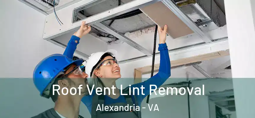  Roof Vent Lint Removal Alexandria - VA