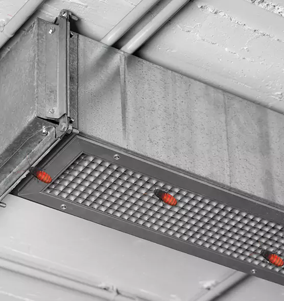 About Air Duct Cockroach Removal in Alexandria, VA
