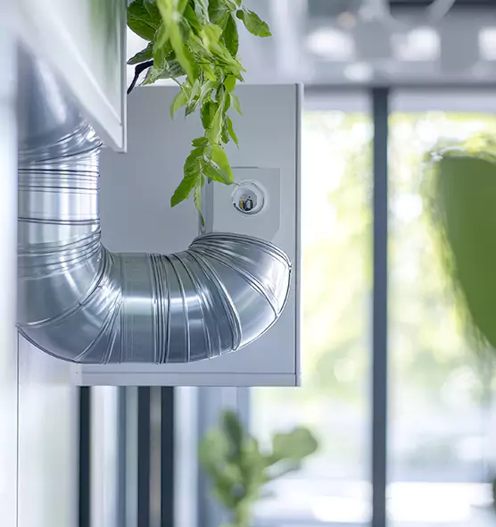 Professional Eco-Friendly Duct Cleaning Services in Alexandria, VA