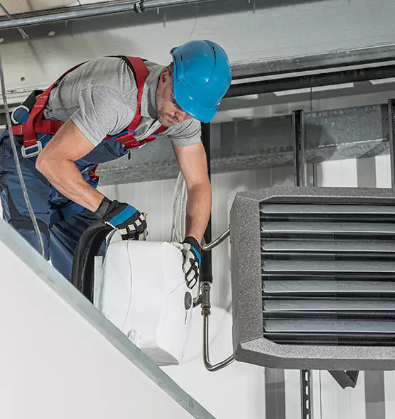 About HVAC Mold Remediation Service in Alexandria, VA