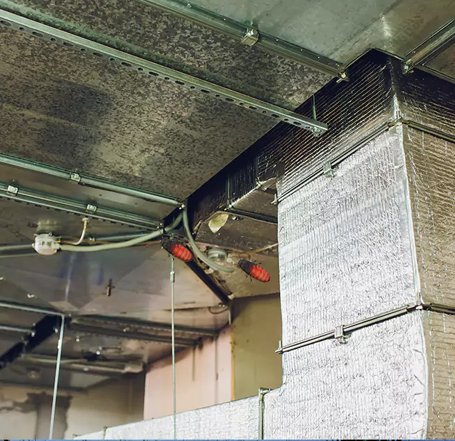 Why Homeowners & Businesses Trust Us in Alexandria, VA?