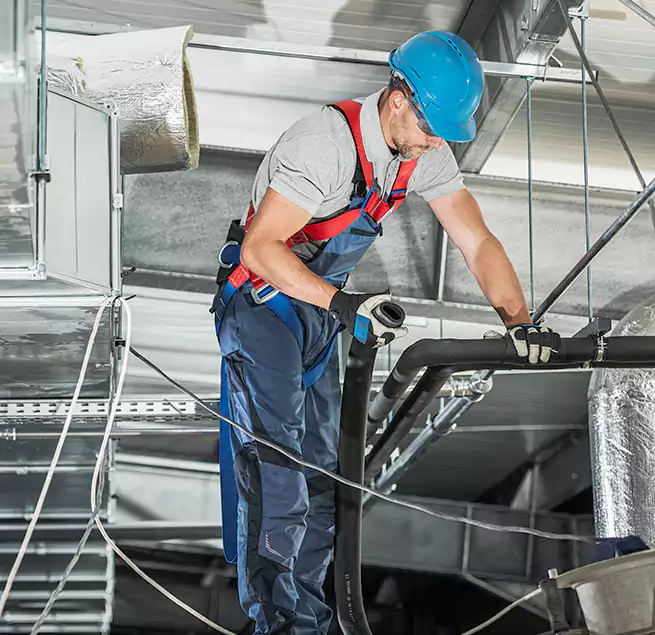 Why Homeowners & Businesses Trust Us in Alexandria, VA?