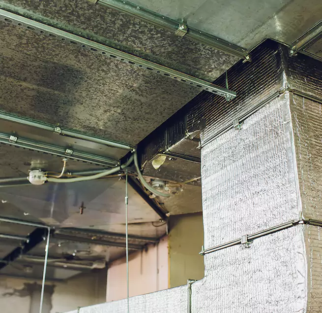 Why Homeowners & Businesses Trust Us in Alexandria, VA?